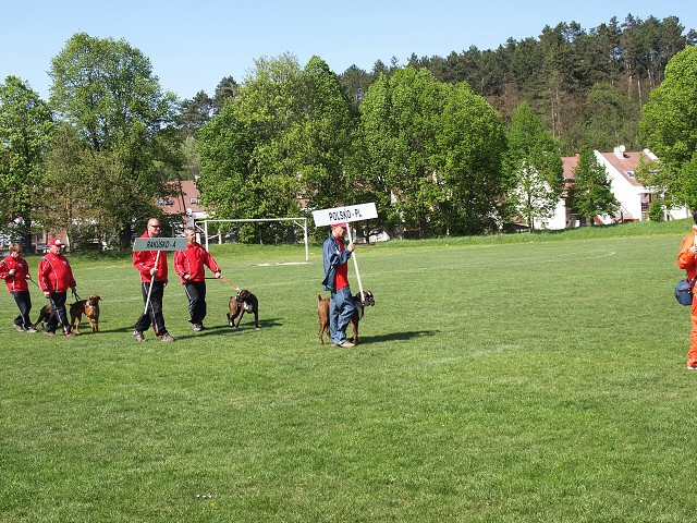 www.atibox.net * www.euroboxer.eu * www.boxergenealogia.eu